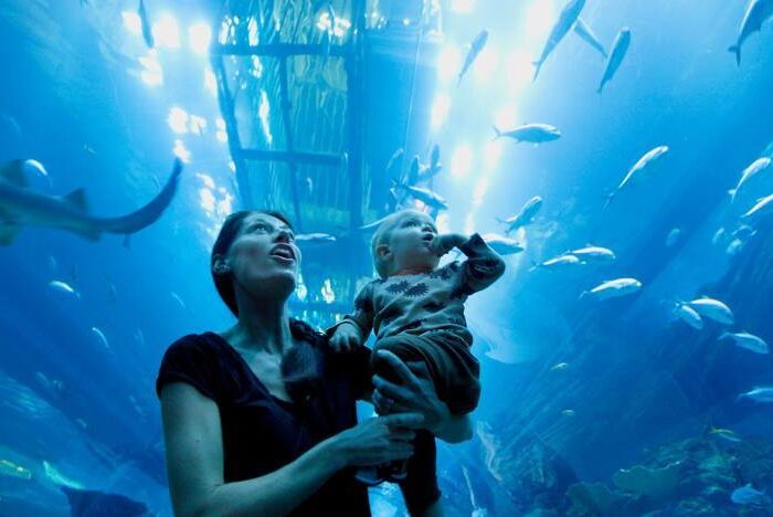 Dubai Aquarium & Underwater Zoo