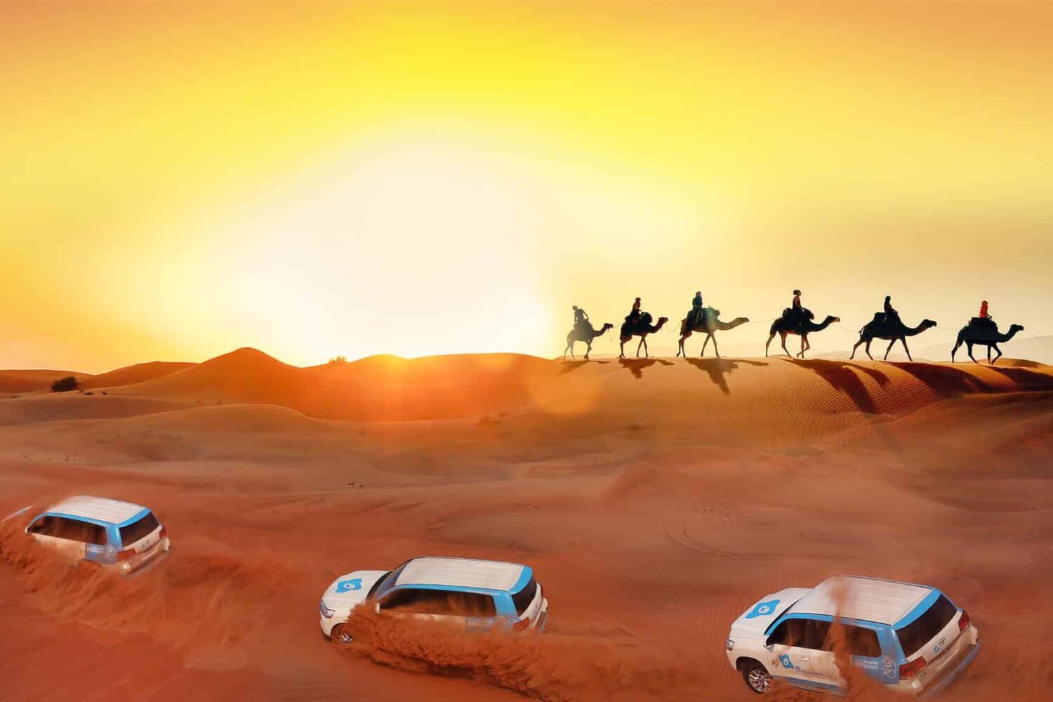 Evening Desert Safari