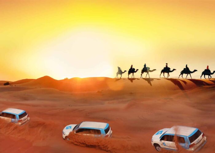 Evening Desert Safari