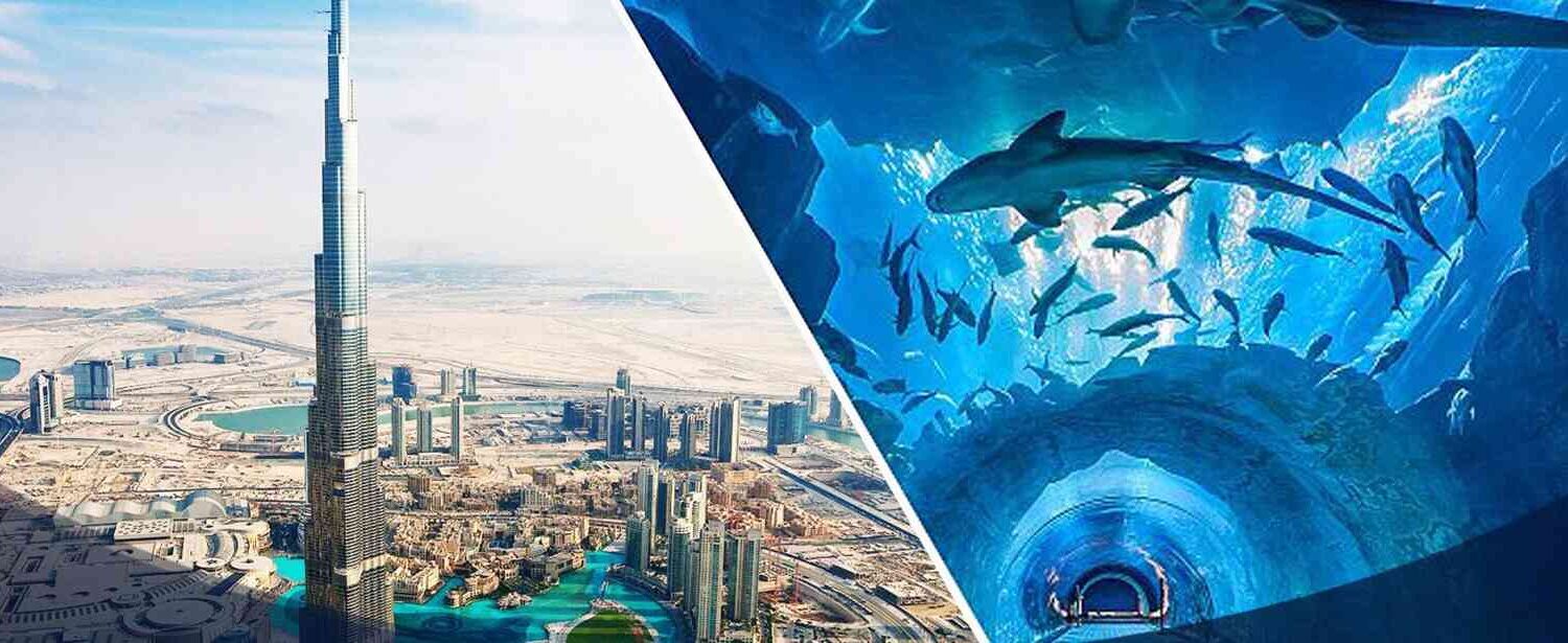 Burj Khalifa + Dubai Aquarium & Underwater Zoo